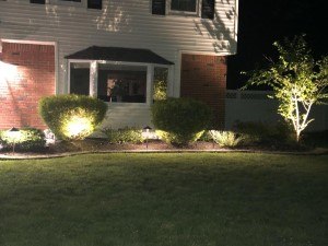 Tinton Falls Landscape Lighting Installation